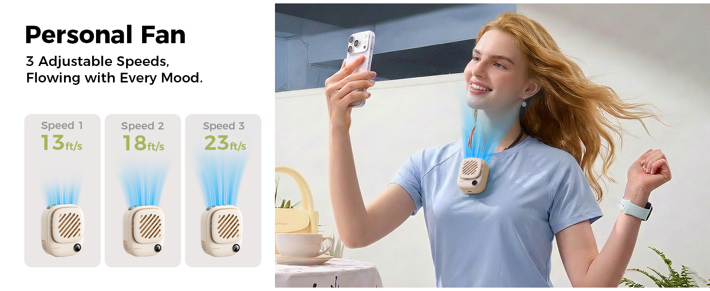 Personal Fan