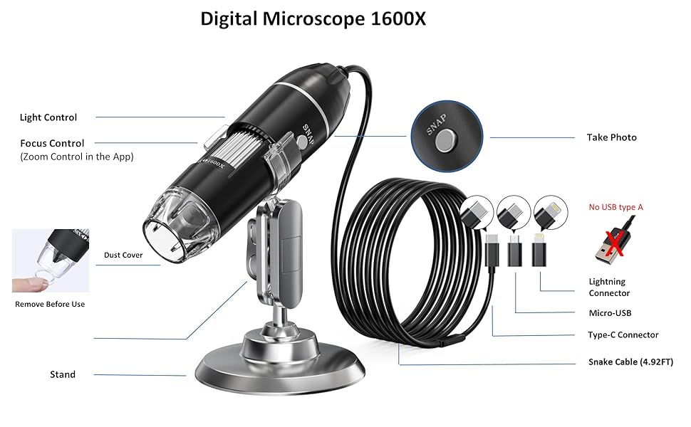 scalp microscope