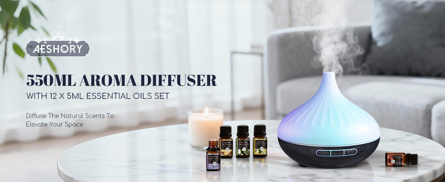 500 ML Diffuser for Home