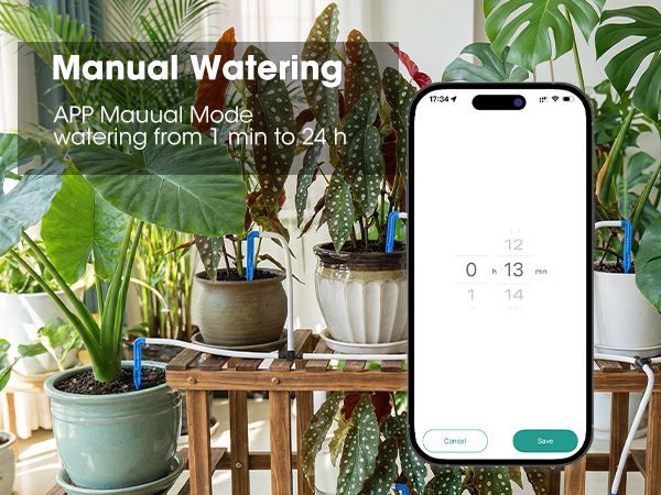 plant automatic watering devices
