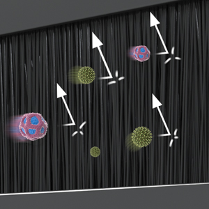 TP1710 1U Brush Panel
