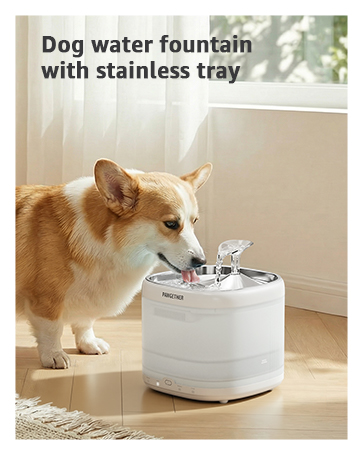 dog water fountain