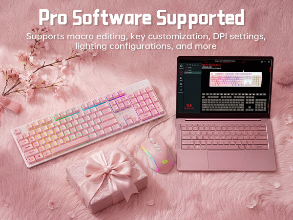 Software Driver