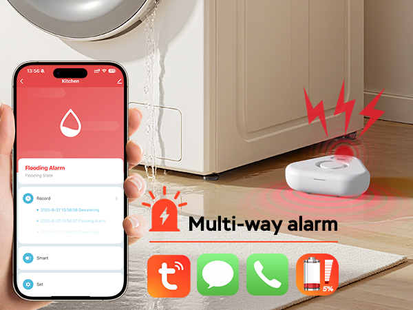 water alarm leak detector