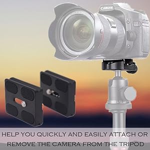  Arca Swiss quick release plate
