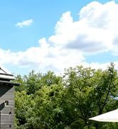 Outdoor Electrical Box