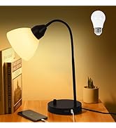 Desk Lamps for Home Office, Reading Light with Dual USB Charging Ports, Adjustable Gooseneck Lamp...