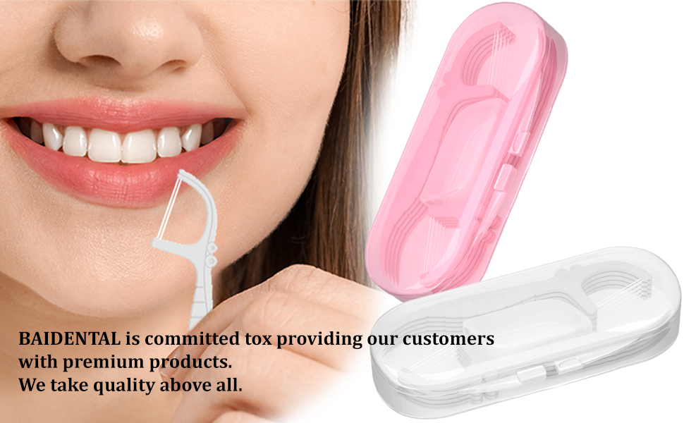 floss dental picks travel flossers teeth toothpicks mint case sticks toothpick dispenser flossing