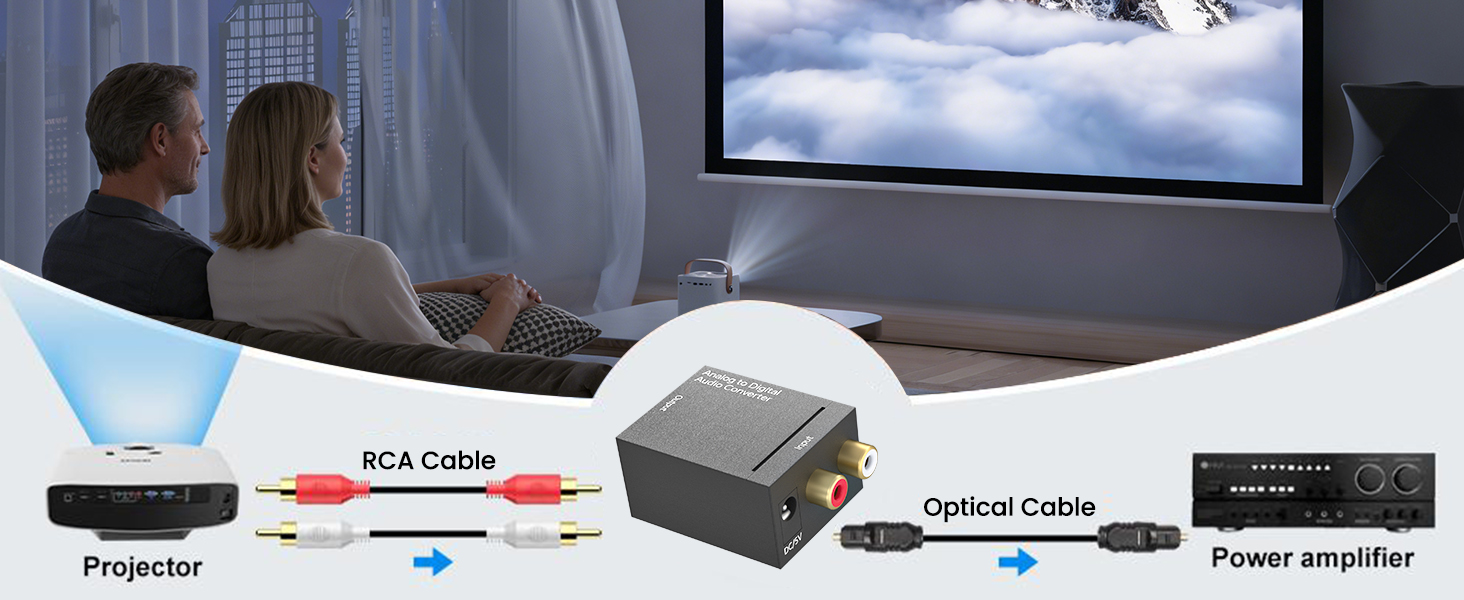 rca to optical converter