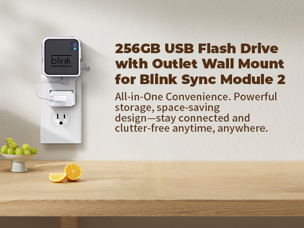 Blink Sync Module 2 Mount