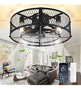 Depuley Caged Ceiling Fan with Light: 20" Flush Mount Ceiling Fans with Remote - Farmhouse Black ...