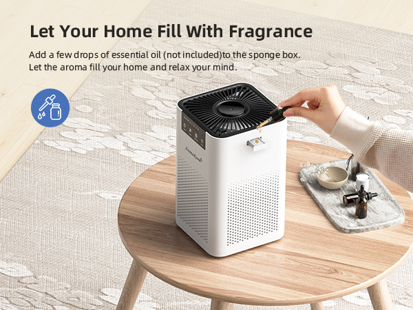 Air Purifier with Aromatherapy
