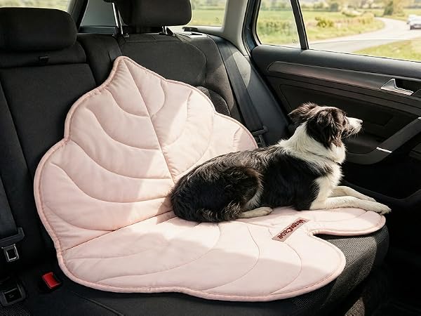 Dog Mats for Travel