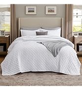 Bedsure Quilt Queen Size - Soft Ultrasonic Full/Queen Quilt Bedding Set - Clover Bedspread Queen ...