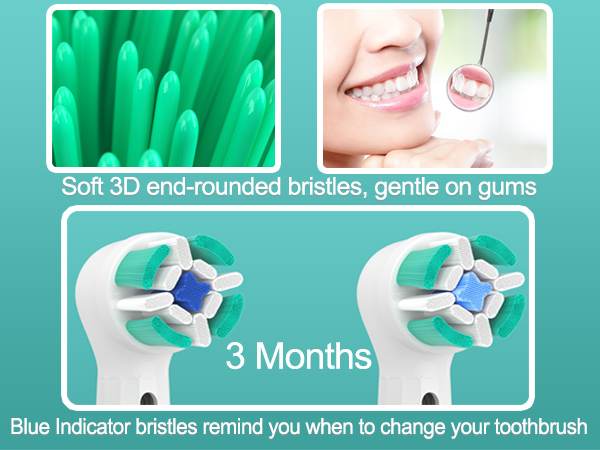 Toothbrush features: soft 3D end-rounded bristles, blue indicator bristles for replacement timing, and gentle gum cleaning. Multiple panels show bristle close-up and dental examination.