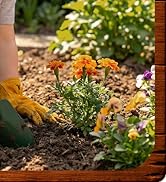 Kids Leather Garden Gloves