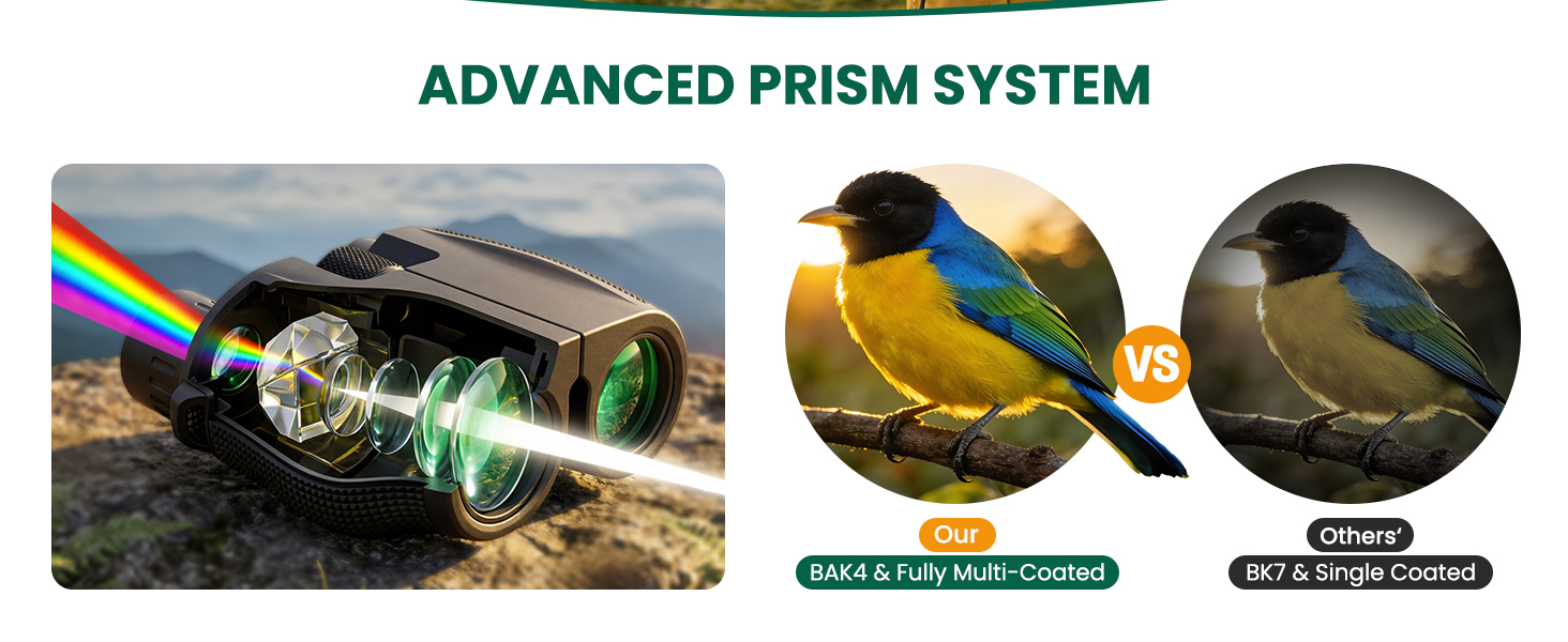 binoculars for adults