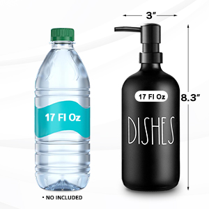 dish soap dispenser for kitchen