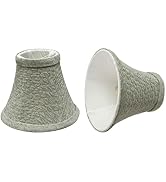Aspen Creative 30054-2A Small Bell Shaped Chandelier Clip-On Shade Lamp Shade Set (2 Pack), Trans...