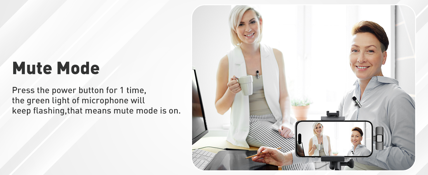 mini microphone usb c