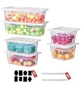 9 PCS Food Pan with Lids-[NSF Certified] [Hot&amp;Cold Resistant] 1/3-1/6-1/9 Size&amp;6 Inch Translucent...