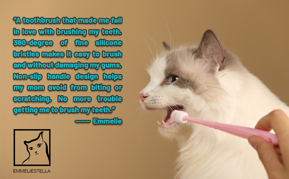 cat toothbrush