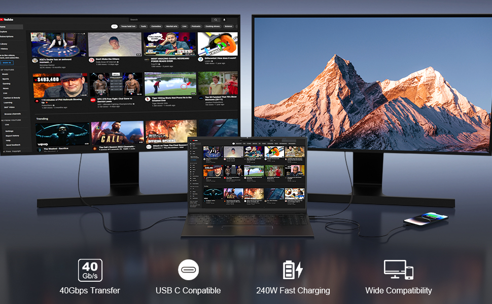 3.3ft USB C to USB C Cable 240W Fast Charging Wide Compatibility