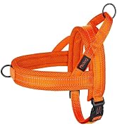 Didog No Pull Dog Harness with Soft Mesh Padded,Reflective &amp; Quick Fit Light Weight Dog Strap Ves...