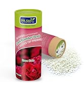 DR.EASY Laundry Scent Boosters 312g,Rose Date Scent Boosters for Washer,Bulk Laundry Booster Bead...