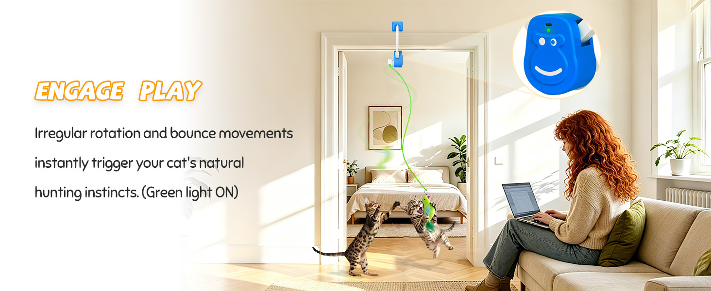 electric cat teaser door frame