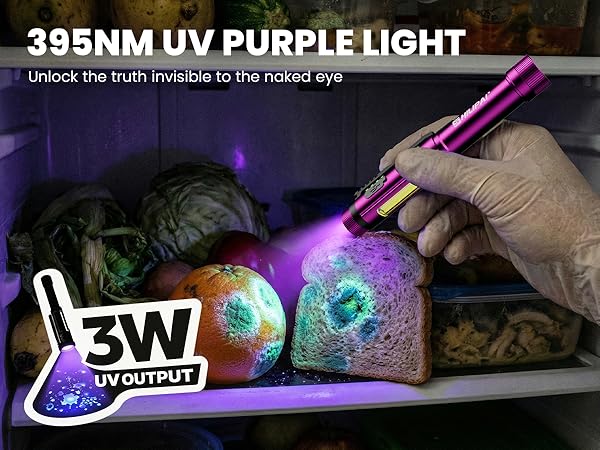 395NM uv purple light