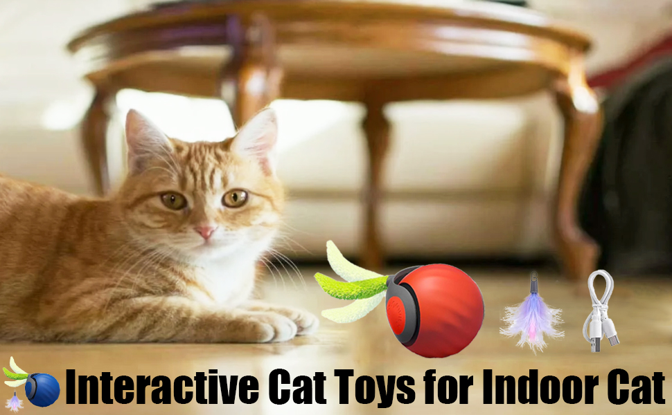 Interactive Cat Toys for Indoor Cat