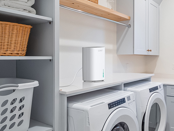 dehumidifier for laundry room