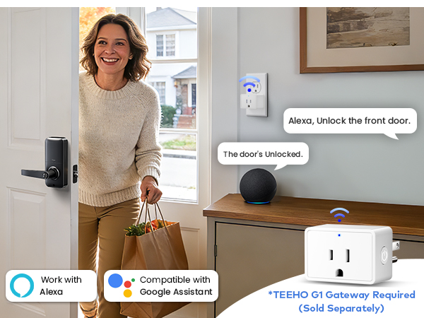 Voice control requires TEEHO G1 gateway