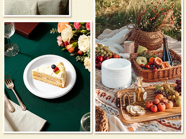 dessert plates disposable