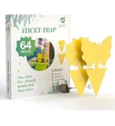 LFSYS 64 Pcs Sticky Traps for gnat, Yellow Sticky Fruit Fly Traps for Indoors Plants, Indoor Safe...