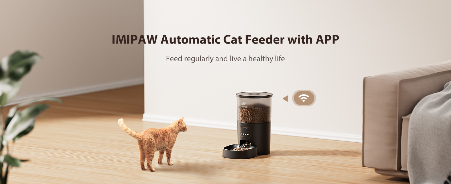automatic cat food dispenser