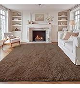 6x9 Area Rug for Living Room: Fluffy Shag Soft Washable Rugs Large Fuzzy Plush Indoor Carpet for ...