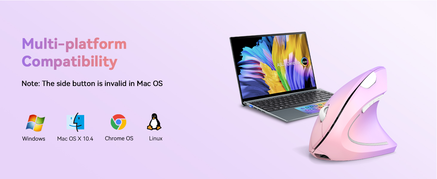 Text reads 'Multi-platform Compatibility' with device icons. Shows computing devices and operating system logos including Windows, Apple, and Linux symbols.