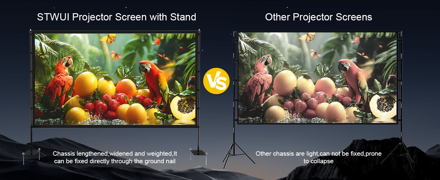 Projector Screen with Stand