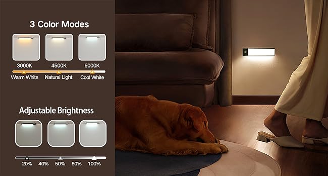 3 Color Temperature and Brightness Adjustable