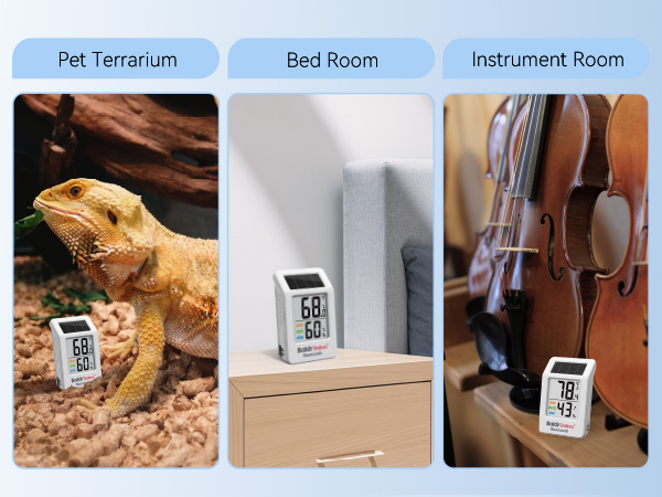 Room Thermometer