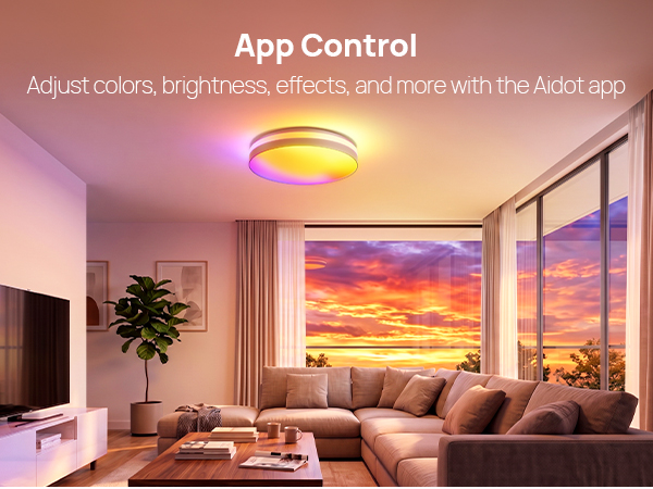 smart ceiling light