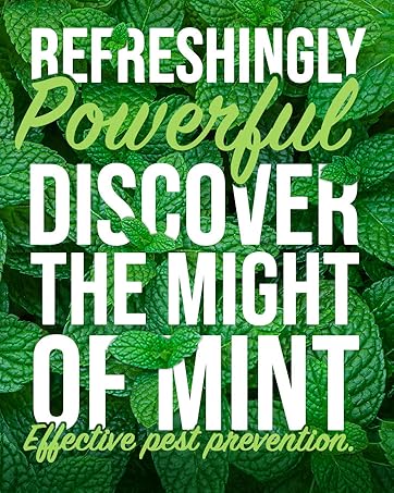Refreshingly Powerful, Discover the might of mint against pest prevention