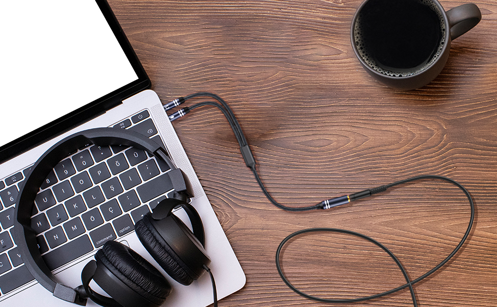 Headphone Splitter for Computer