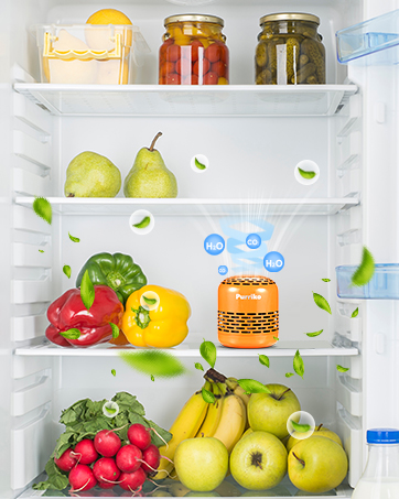 Keep fridge fresh and healthy