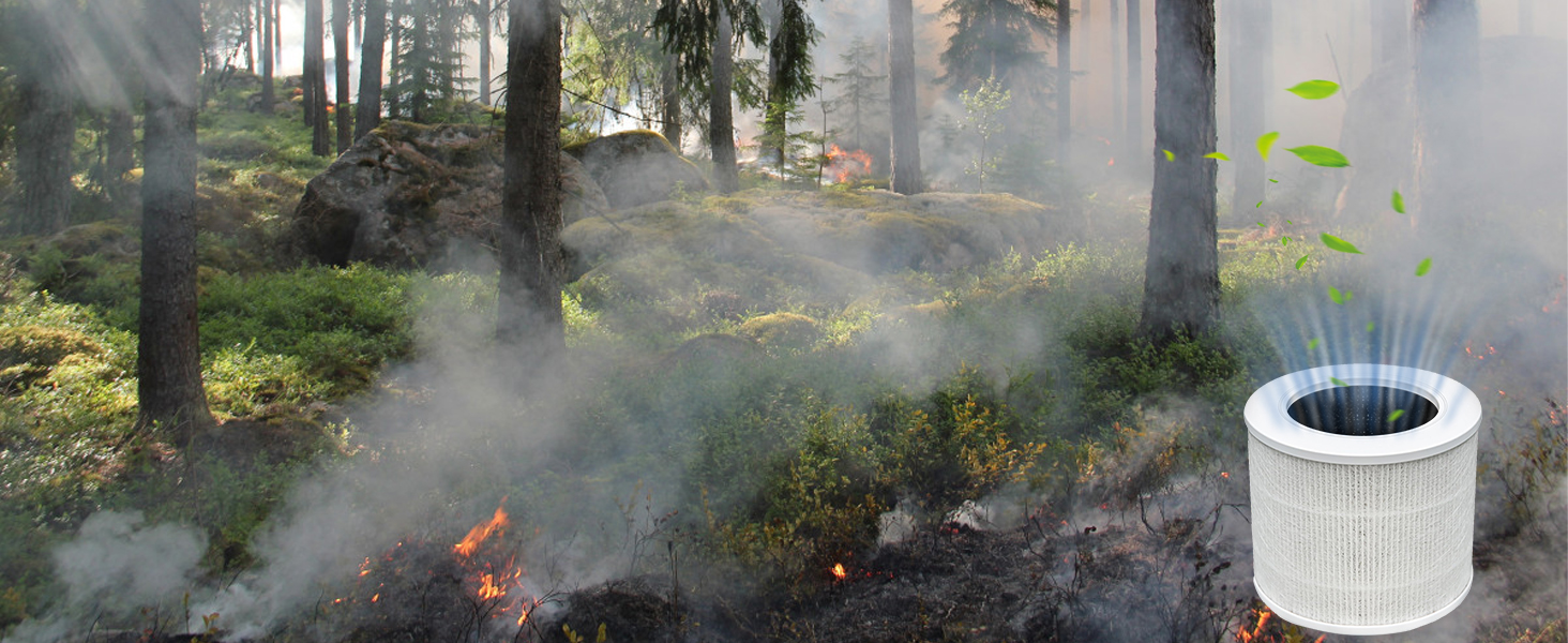 LQ-Mini-AA1464-02BBA