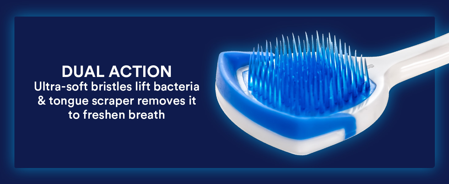 bristles