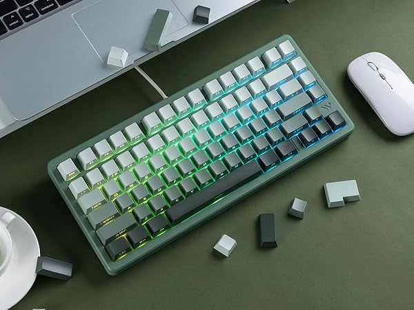 seaweed Double Shot PBT keycaps Set,Shine Through Keyboard keycaps Gradient 60% 75% 100%,OEM Profile
