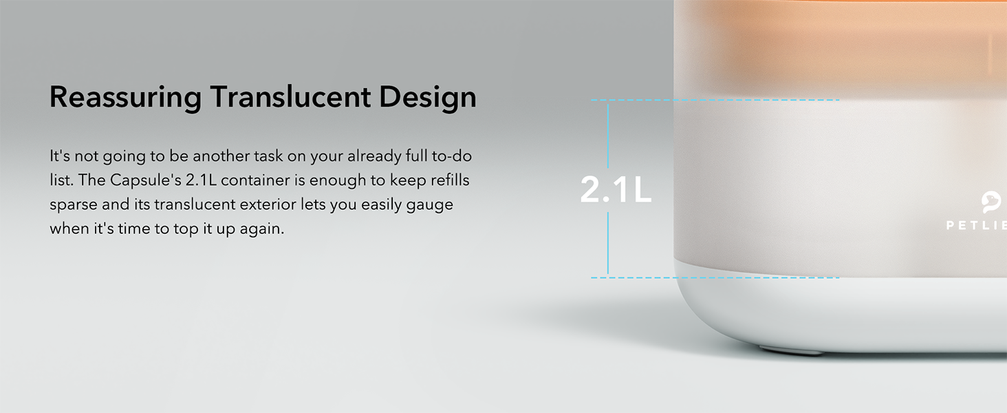 cat fountains for drinking